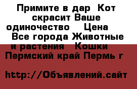 Примите в дар. Кот скрасит Ваше одиночество. › Цена ­ 0 - Все города Животные и растения » Кошки   . Пермский край,Пермь г.
